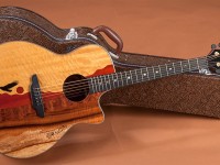 Why Is Guitar Case Necessary For Your Guitar?